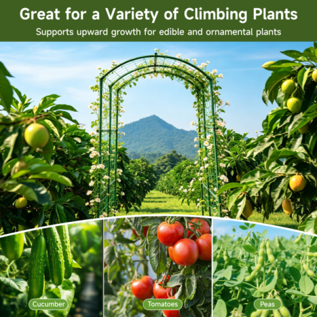 Plant Climbing Rack 412 Set Clearance - Durable Garden Support | Wholesale Discounts - Image 7